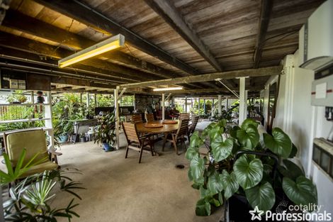 Property photo of 19 McColl Street Walkerston QLD 4751