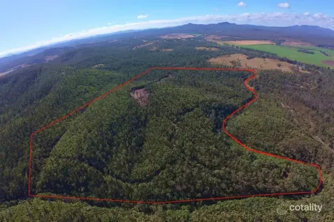 Property photo of Ewingar Road Bulldog NSW 2469