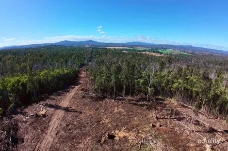 Property photo of Ewingar Road Bulldog NSW 2469