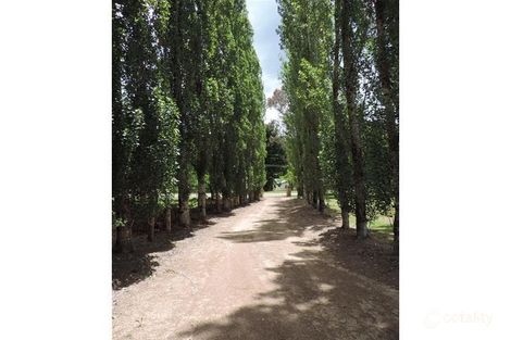 795 Morses Creek Rd, Wandiligong, VIC 3744