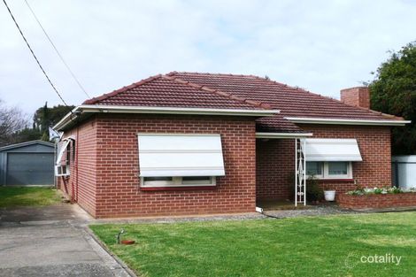Property photo of 62 Angus Avenue Edwardstown SA 5039