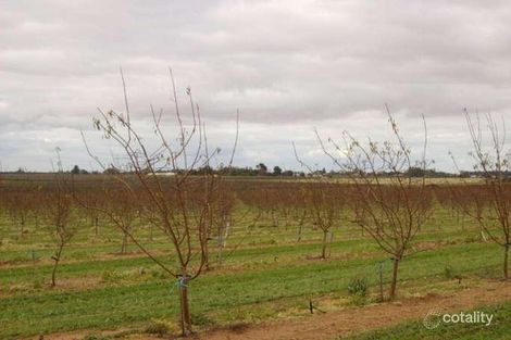 872 Dorsch Ave, Loxton, SA 5333