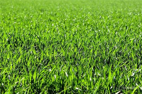 30 Vinrace St, Adelaide, SA 5000