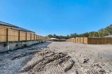 Property photo of 8 Appleberry Place Yandina QLD 4561