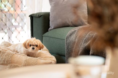 Property photo of 4/83 Richmond Road Morningside QLD 4170