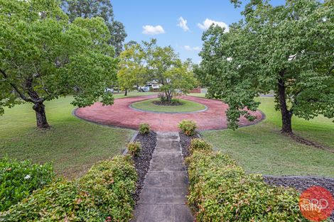 Property photo of 2 Cedarwood Close Bolwarra Heights NSW 2320