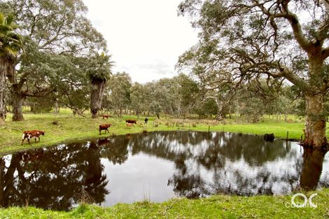 Property photo of 201 Pages Flat Road Pages Flat SA 5172