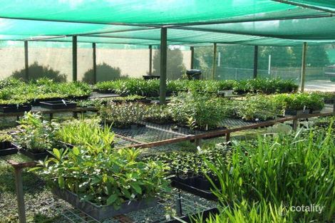 Property photo of 1 Mountain View Road Kew NSW 2439