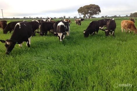 133 Lorenzs Rd, Strathmerton, VIC 3641