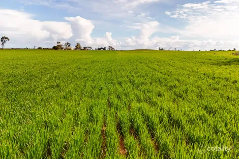 Property photo of 171 Old Port Wakefield Road Windsor SA 5501