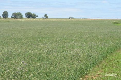 322 Balcarry Lane, Attunga, NSW 2345