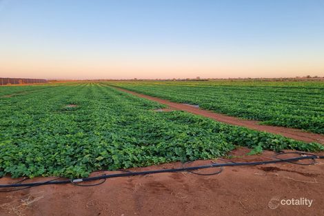 137/138 North River Rd, North Plantations, WA 6701