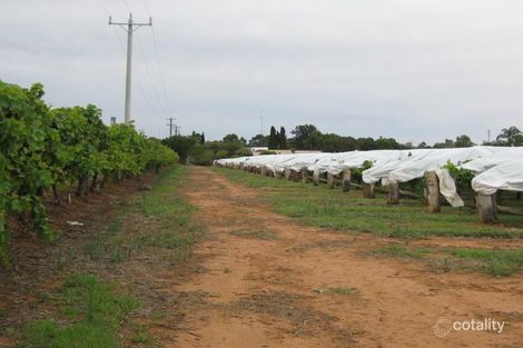 Property photo of 270-280 Bromley Road Robinvale VIC 3549