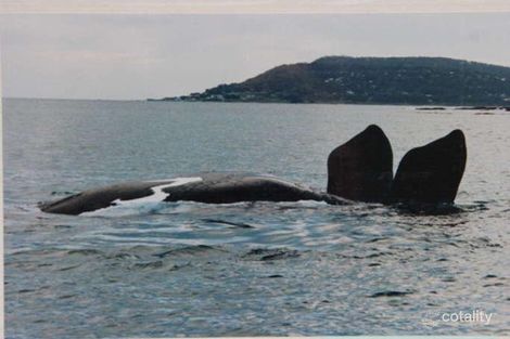 181 Ocean Rd, Lorne, VIC 3232