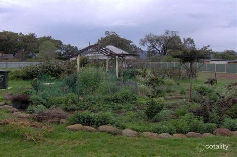 Property photo of 75 Satur Road Scone NSW 2337