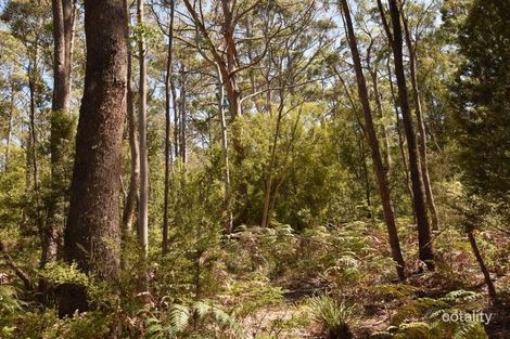 Lot 1 Farrells Rd, Reedy Marsh, TAS 7304
