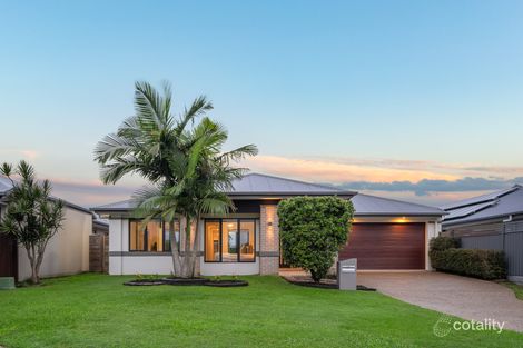 20 Wyperfield Cct, Pimpama, QLD 4209