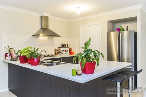 Property photo of 15 Champion Crescent Gillieston Heights NSW 2321