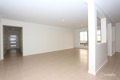 Property photo of 6 Patchouli Court Griffin QLD 4503