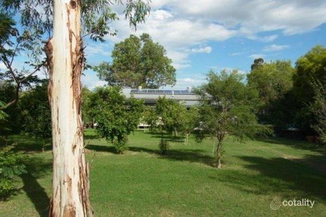 Property photo of 19 Bengalla Street Yelarbon QLD 4388