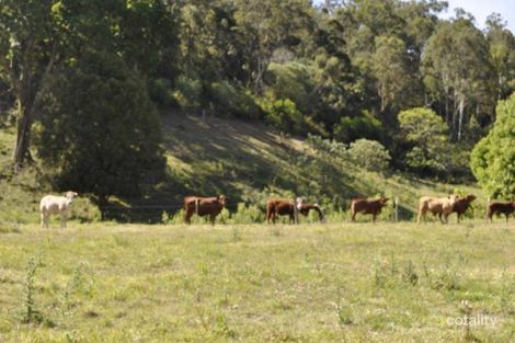 2895 Beaudesert-Nerang Rd, Wonglepong, QLD 4275