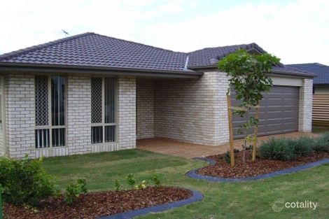 6 Cyperus Cres, Carseldine, QLD 4034