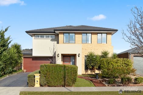 13 Springleaf Rd, Tarneit, VIC 3029