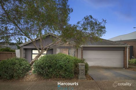 Property photo of 38 Regent Street Mernda VIC 3754