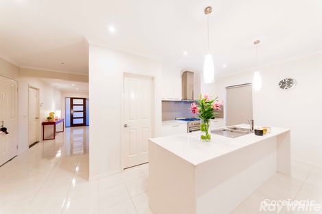 Property photo of 7 Medusa Court Cranbourne VIC 3977