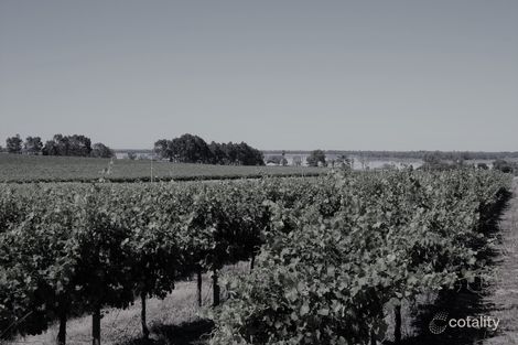 Lot 35 Schenscher Rd, Moorook, SA 5332