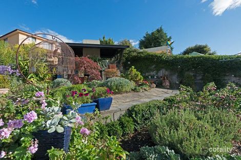 Property photo of 41 Alford Street Howrah TAS 7018