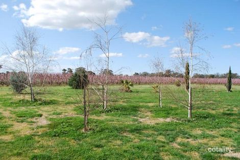 Property photo of 195 Pogue Road Toolamba VIC 3614