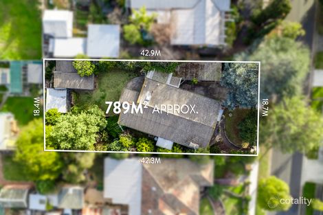 3 View St, Belmont, VIC 3216