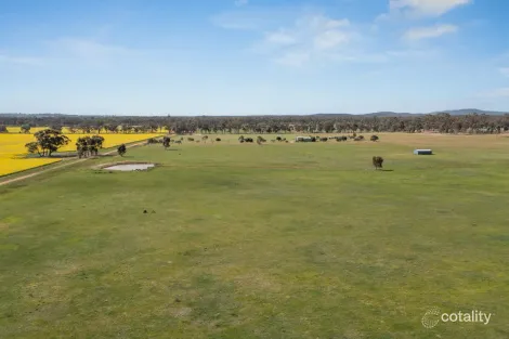 Property photo of 619 Ponderosa Road Bealiba VIC 3475