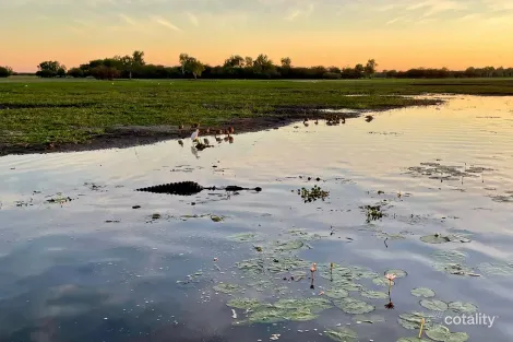 385 Bees Creek Rd, Bees Creek, NT 0822