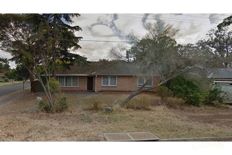 Property photo of 17 Silvermere Avenue Paradise SA 5075