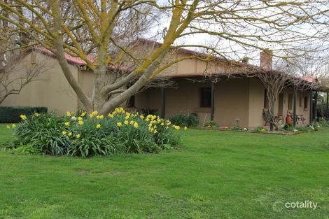 Property photo of 76 Noyes Lane Gundaroo NSW 2620
