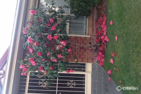 Property photo of 2/41 Bogong Avenue Glen Waverley VIC 3150