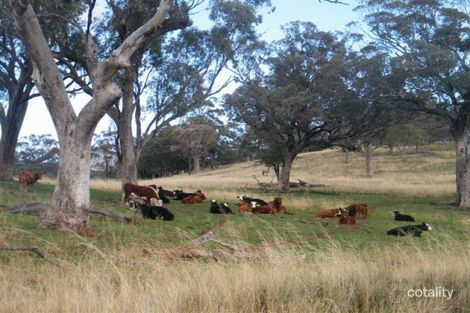 Property photo of 548 Big Jacks Creek Road Big Jacks Creek NSW 2339