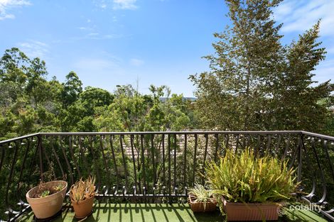 Property photo of 8/81 Armadale Street St Lucia QLD 4067
