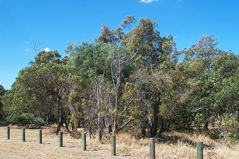 25 Bindaree Tce, Kingsley, WA 6026