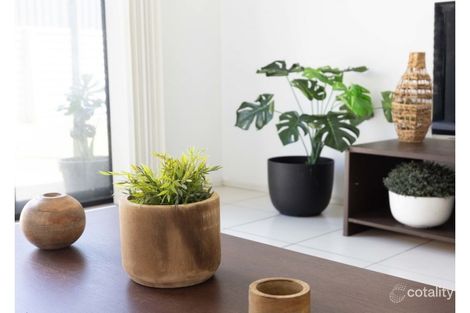 Property photo of 31 Storr Circuit Goodna QLD 4300