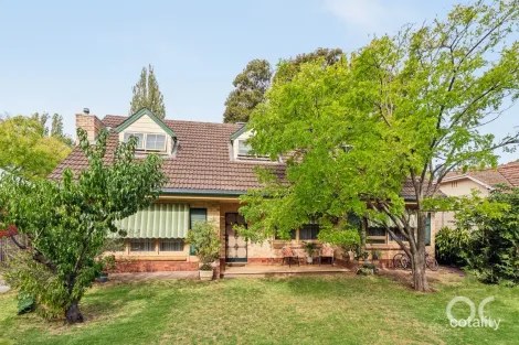 Property photo of 13 Whistler Avenue Unley Park SA 5061
