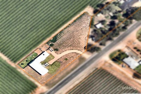 Property photo of 262 Belar Avenue Irymple VIC 3498