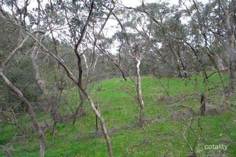 Property photo of 17 Ash Avenue Belair SA 5052