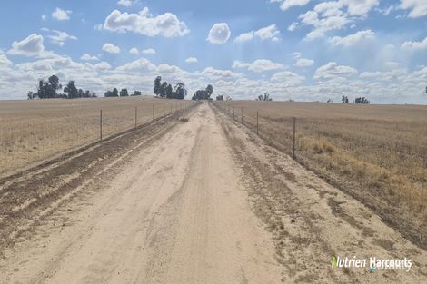 Property photo of 596 Coben Soak Road Beaufort River WA 6394