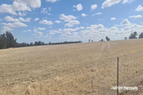 Property photo of 596 Coben Soak Road Beaufort River WA 6394