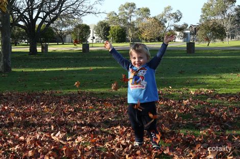 349 Sinclair St S, Elliminyt, VIC 3250