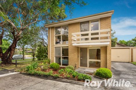 Property photo of 8/65-67 Albion Road Box Hill VIC 3128