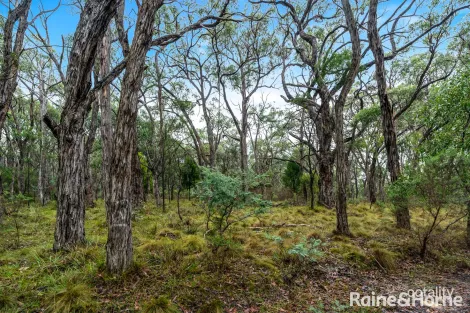 Lot 126 Prince Alfred St, Riddells Creek, VIC 3431